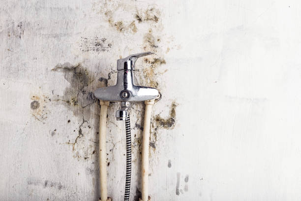 Best Localized Mold Remediation (e.g., coastal areas, humid climates) in Val Verde Park, TX