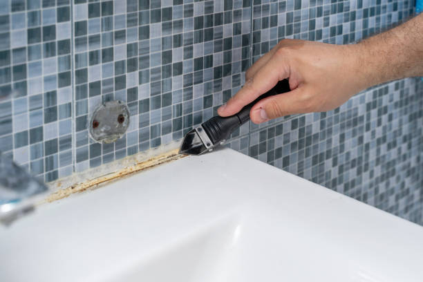 Best Emergency Mold Remediation in Val Verde Park, TX
